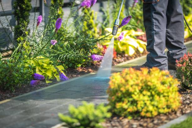 Best Residential Pressure Washing in Brandenburg, KY
